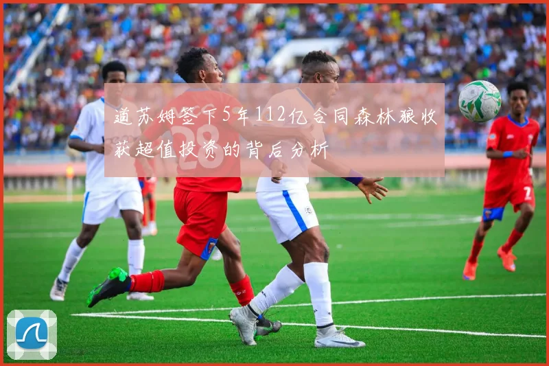 道苏姆签下5年112亿合同森林狼收获超值投资的背后分析
